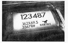 Direct marking with laser on white, sprayed patch on hot band.
